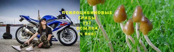 мефедрон Медногорск